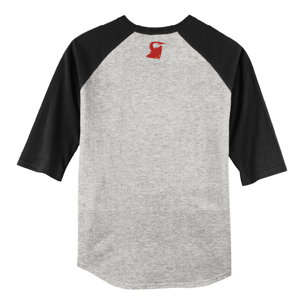 Corpus Christi IceRays Vintage Raglan T-Shirt Heather Grey/Black Back