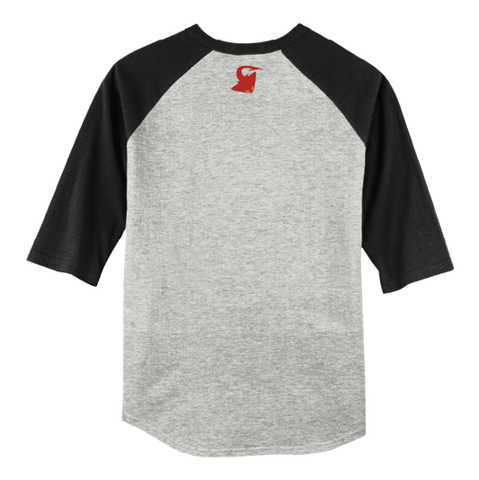 Corpus Christi IceRays Vintage Raglan T-Shirt Heather Grey/Black Back